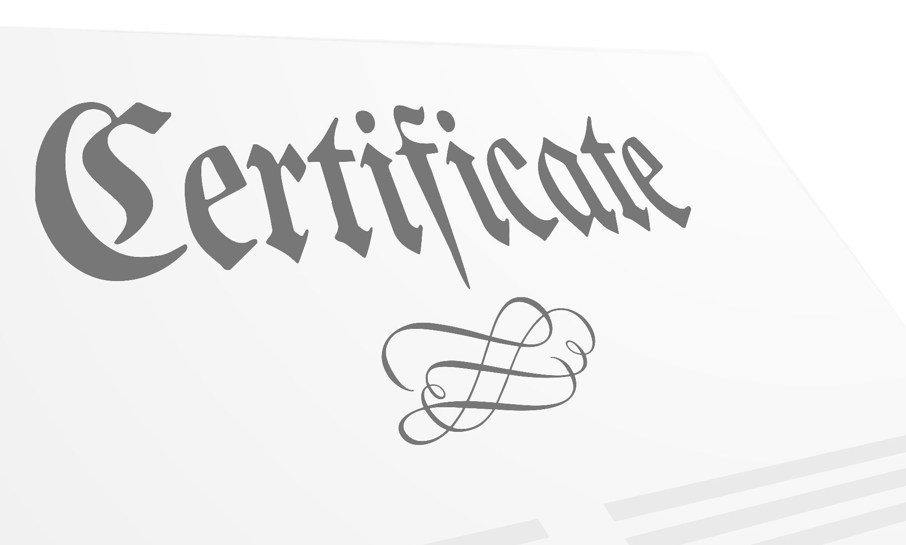 Traduzione certificato Casellario Giudiziale